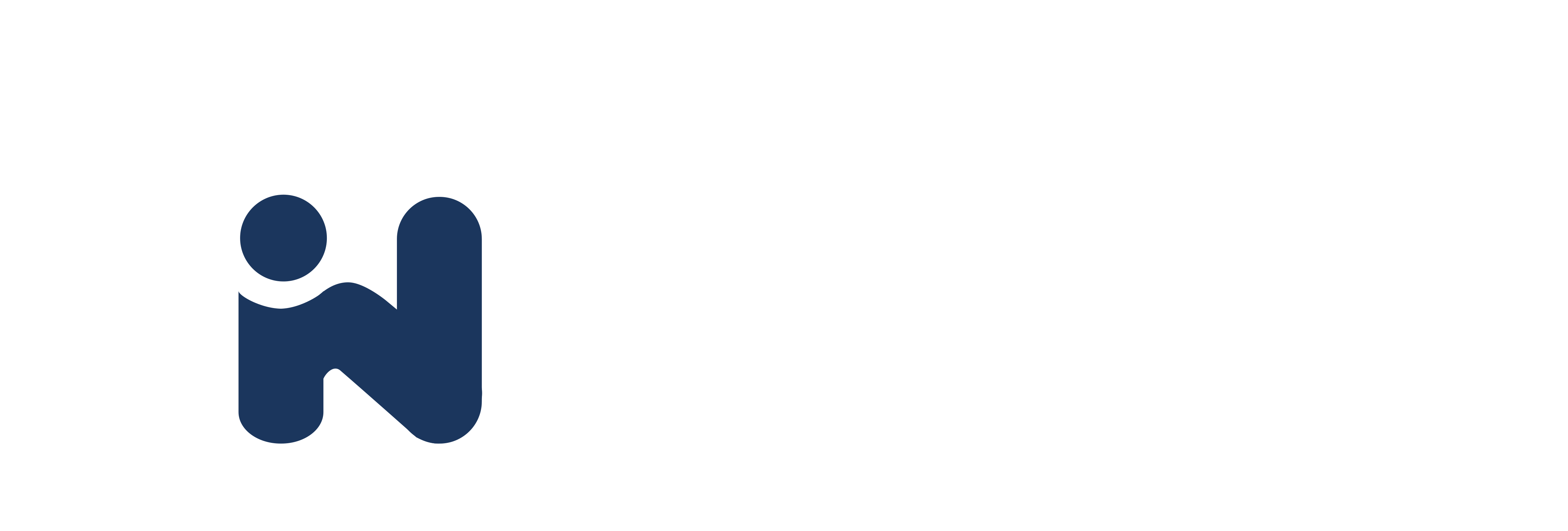 Innovizex Solutions